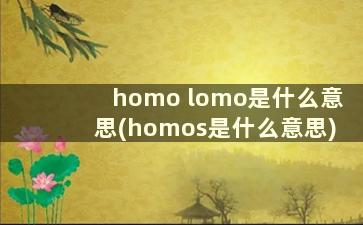 homo lomo是什么意思(homos是什么意思)